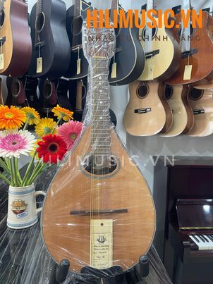 Đàn Mandolin MD-16 gỗ Hồng đào