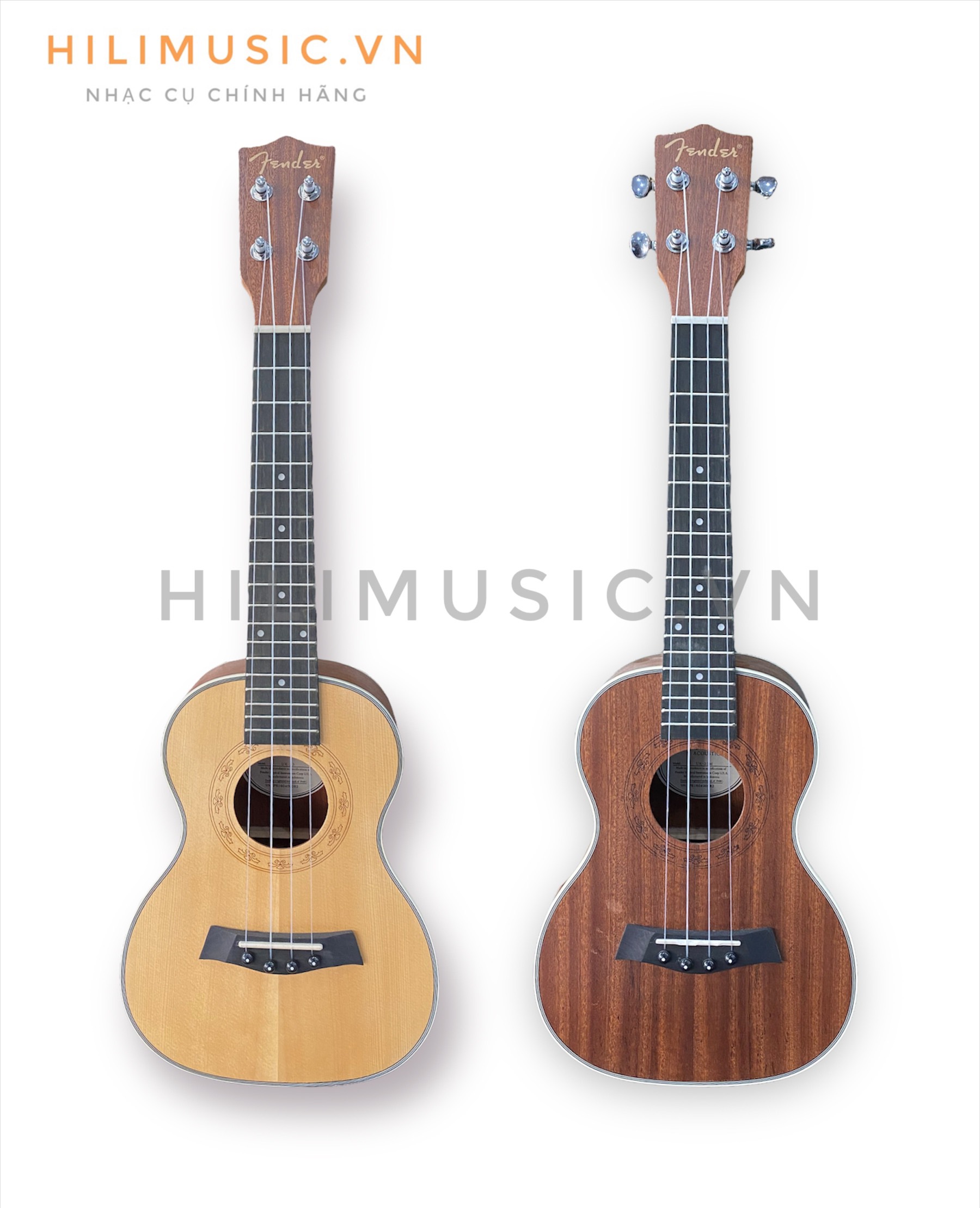 Đàn Ukulele Fender Concert Gỗ Cao Câp ( 2 màu )