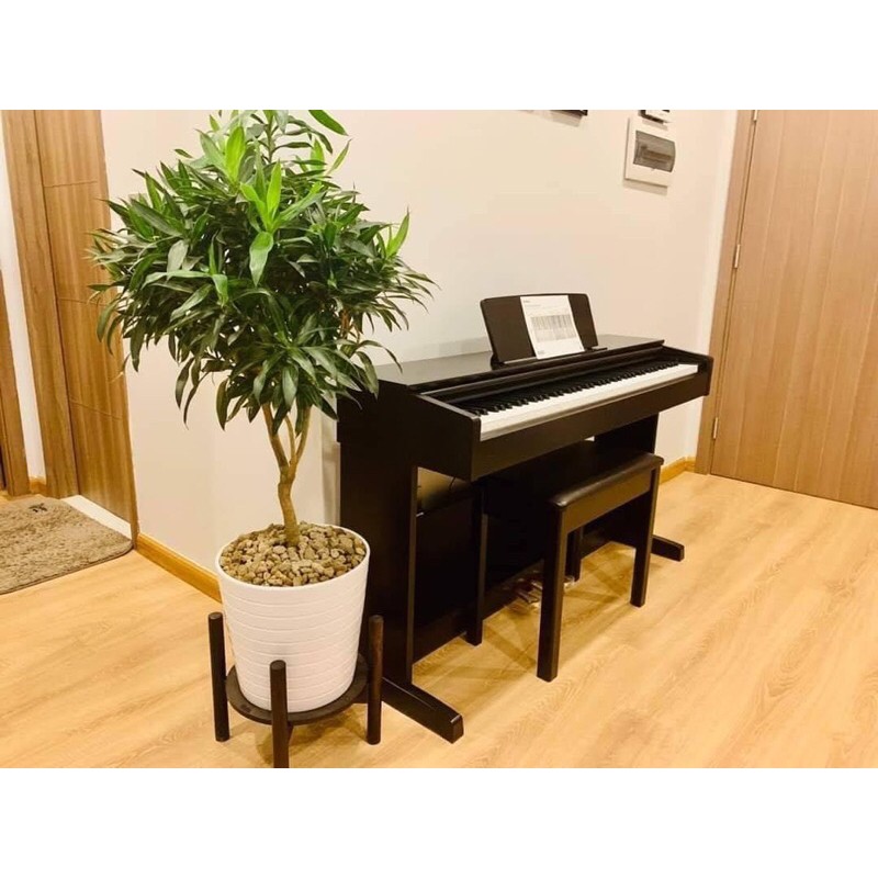 Đàn Piano điện Yamaha YDP-105R mới 100%, chính hãng, kèm ghế, miễn phí vận chuyển