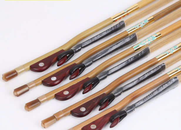Vĩ đàn nhị biểu diễn chuyên nghiệp EH260310
