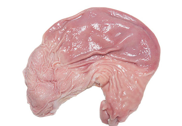 Bao tử heo tươi 1 bộ 600-850g