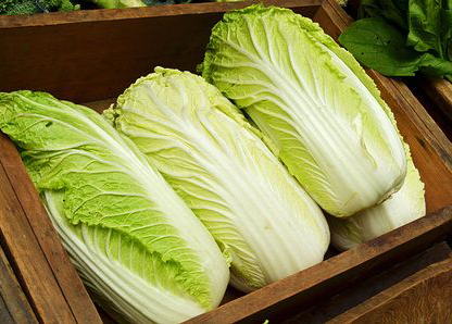 Bắp Cải Thảo Đà Lạt (500gr)