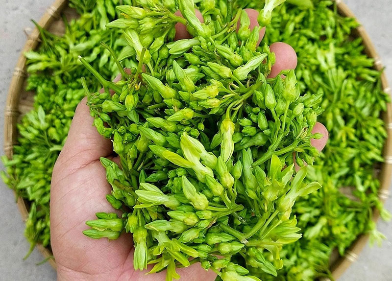 Bông thiên lý (100gr)