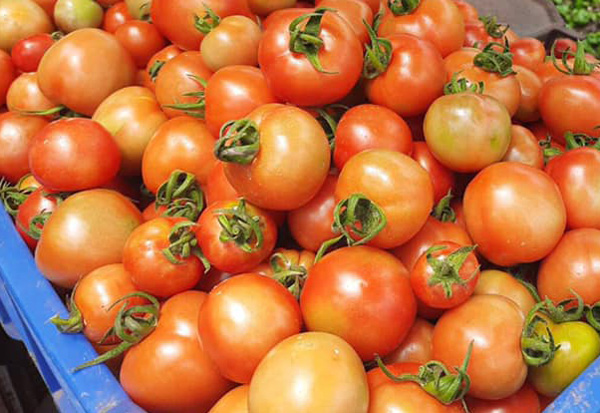 Cà chua đà lạt (500gr)