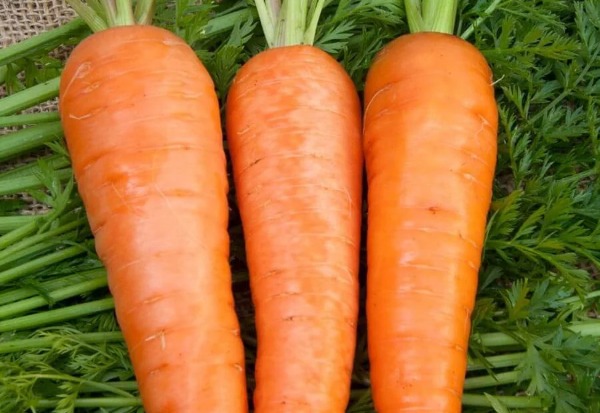 Cà rốt Đà Lạt (500gr)