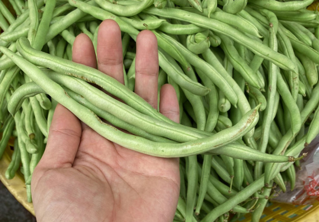 Đậu que vườn ngon (100gr)