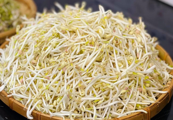 Giá đỗ sống (500gr)