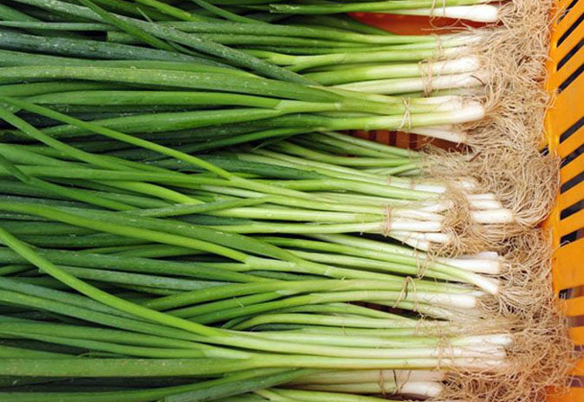 Hành lá tươi (100gr)