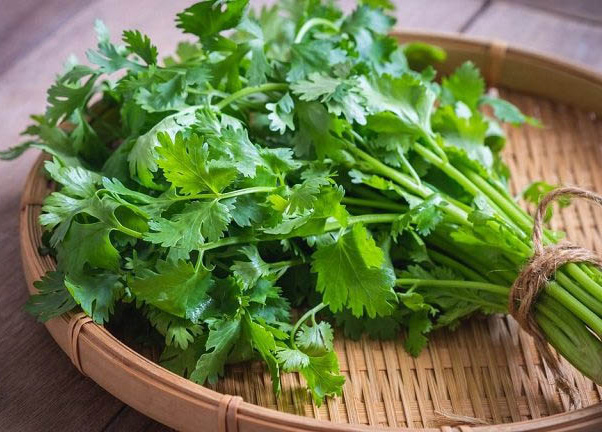 Ngò Rí | Mùi ta (50gr)