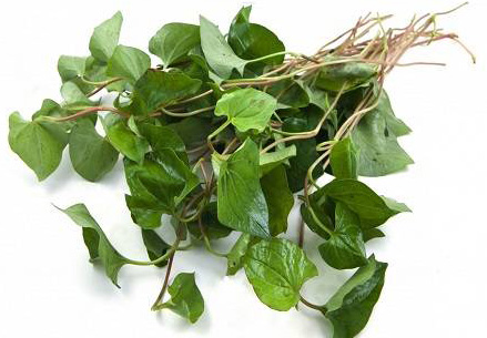 Rau diếp cá (100gr)