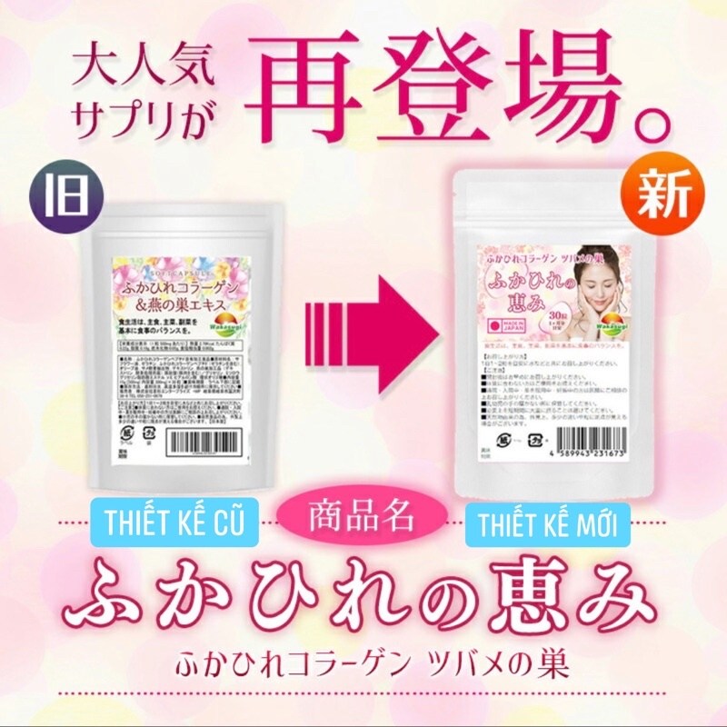 Collagen Yến tươi và vay cá mập