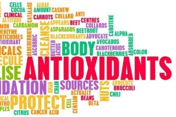 Quá trình oxy hóa và giải pháp chống oxy hóa trong chăn nuôi
