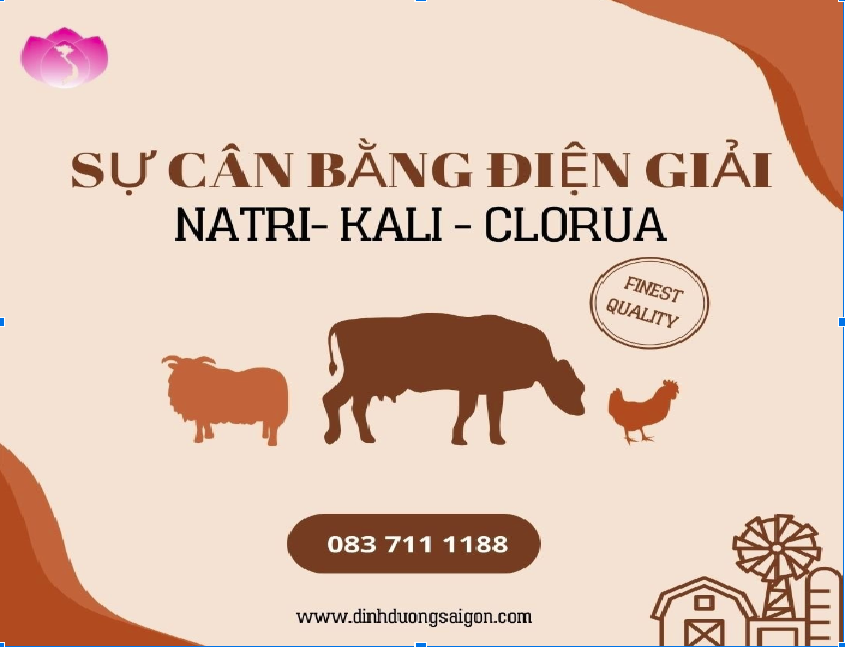 NATRI, KALI, CLO VÀ SỰ CÂN BẰNG ĐIỆN GIẢI - DINH DƯỠNG THIẾT YẾU CHO VẬT NUÔI