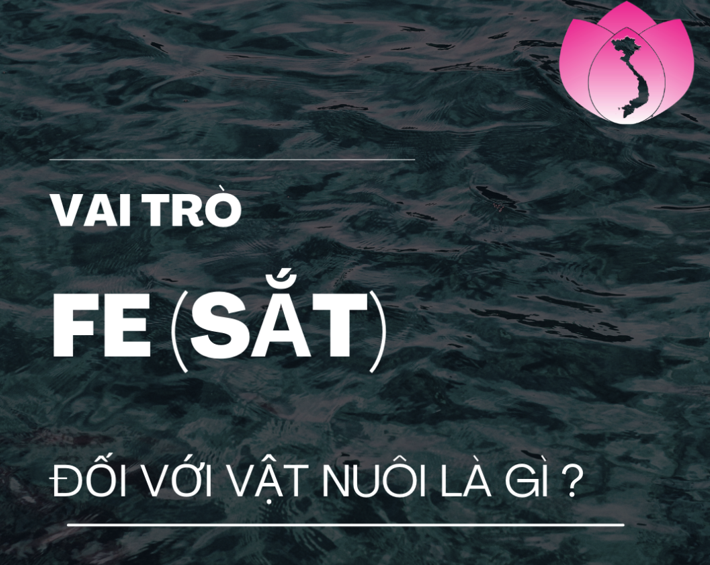 VAI TRÒ CỦA SẮT (FE) ĐỐI VỚI VẬT NUÔI