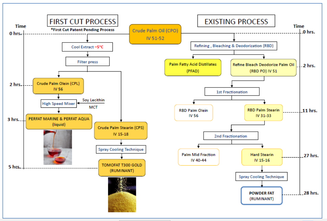 Công nghệ First Cut, sản xuất dầu cọ thô Nguồn thay thế sắc tố vàng và bổ sung vitamin E tự nhiên trong giai đoạn siêu siêu biến động