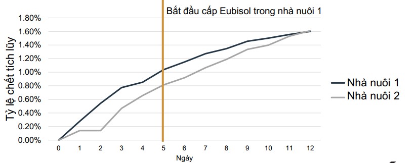 Bổ sung Eubisol để làm giảm tỷ lệ chết và giảm tẻ lệ gà thịt loại thải khi gà bị nhiễm bệnh