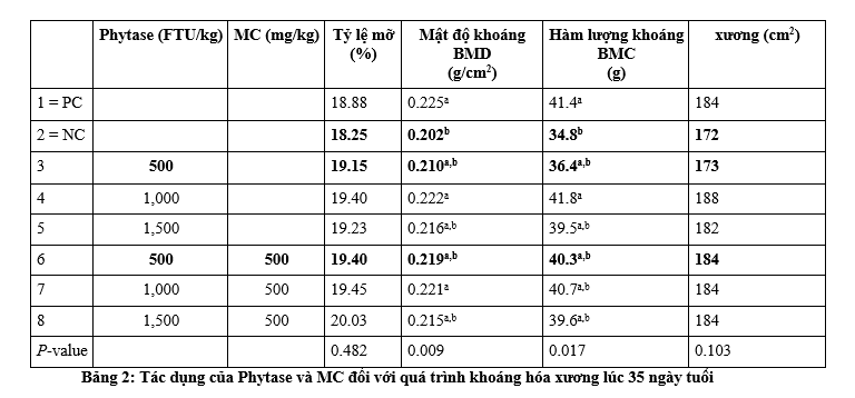 Thí nghiệm chứng mình sử dụng kết hợp enzyme tiêu hóa carbohydrase và phytase