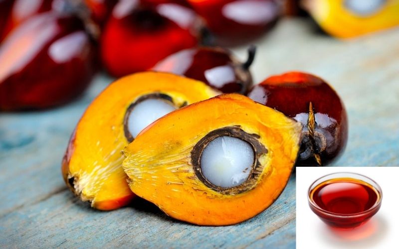 Thực phẩm chứa nhiều chất béo Thực phẩm chứa nhiều chất béo