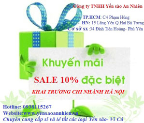 TƯNG BỪNG KHUYẾN MÃI 10% NHÂN DỊP KHAI TRƯƠNG CHI NHÁNH MỚI
