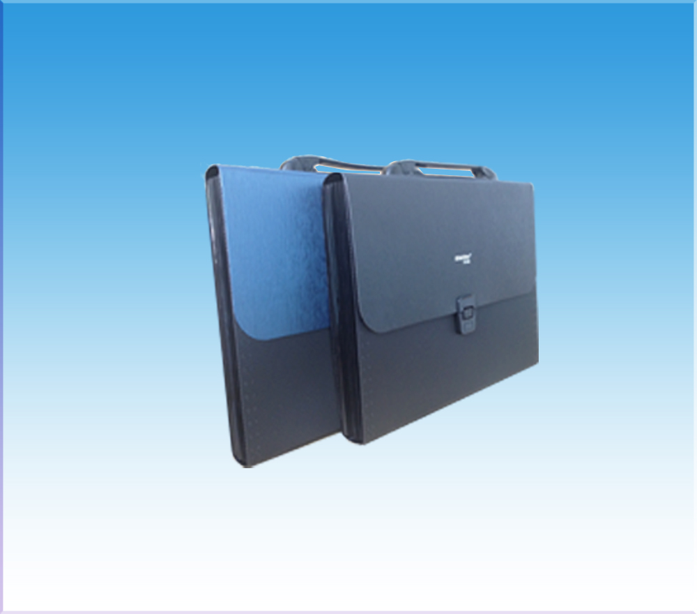 Cặp hồ sơ 13 ngăn nhựa - D308