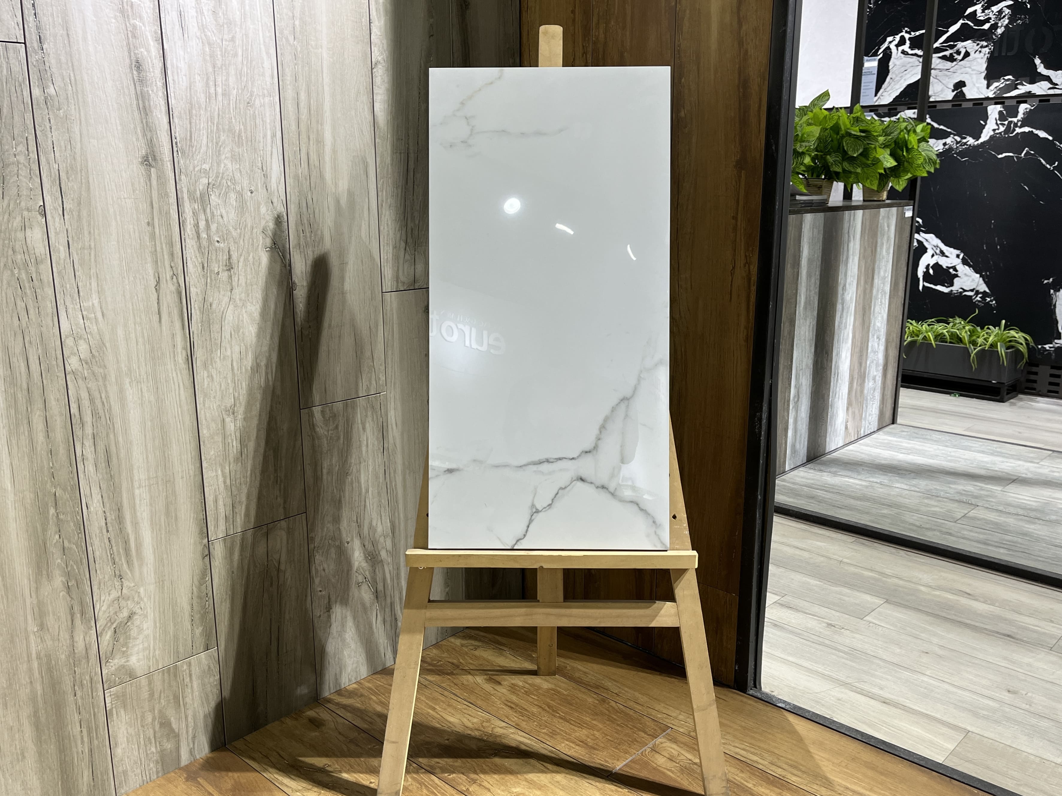 GẠCH CARINA CA6.PO4806