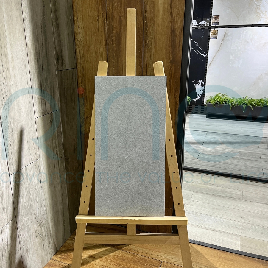 GẠCH CARINA CA5.MO3601