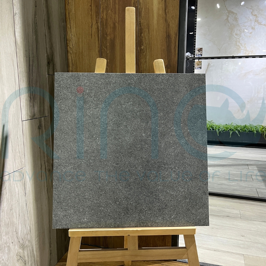 GẠCH CARINA CA5.MO6602