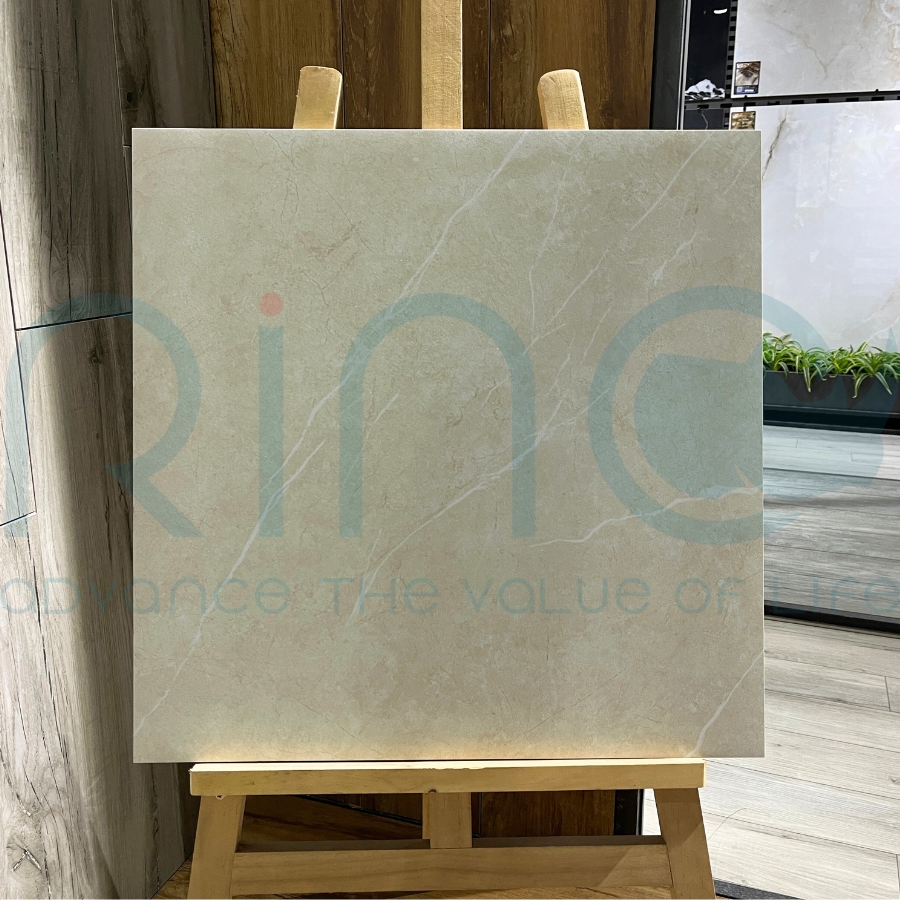 GẠCH CARINA CA6.MO6604