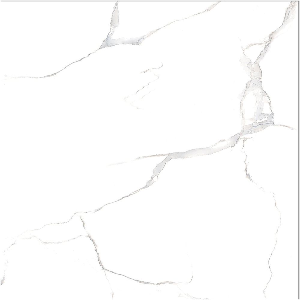 Gạch VID 600X600 D6628