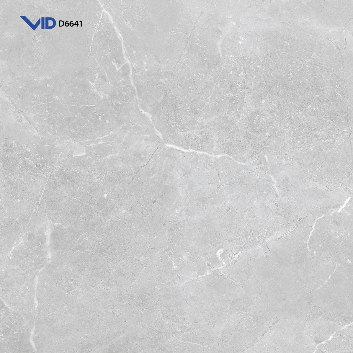 Gạch VID 600X600 D6641
