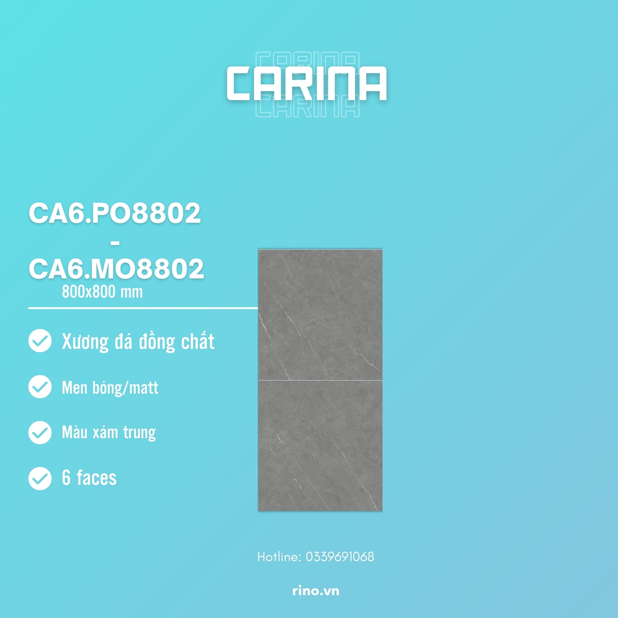 GẠCH CARINA CA6.PO8802