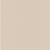 VB601 - Gạch Granit đồng chất mài bóng VB601