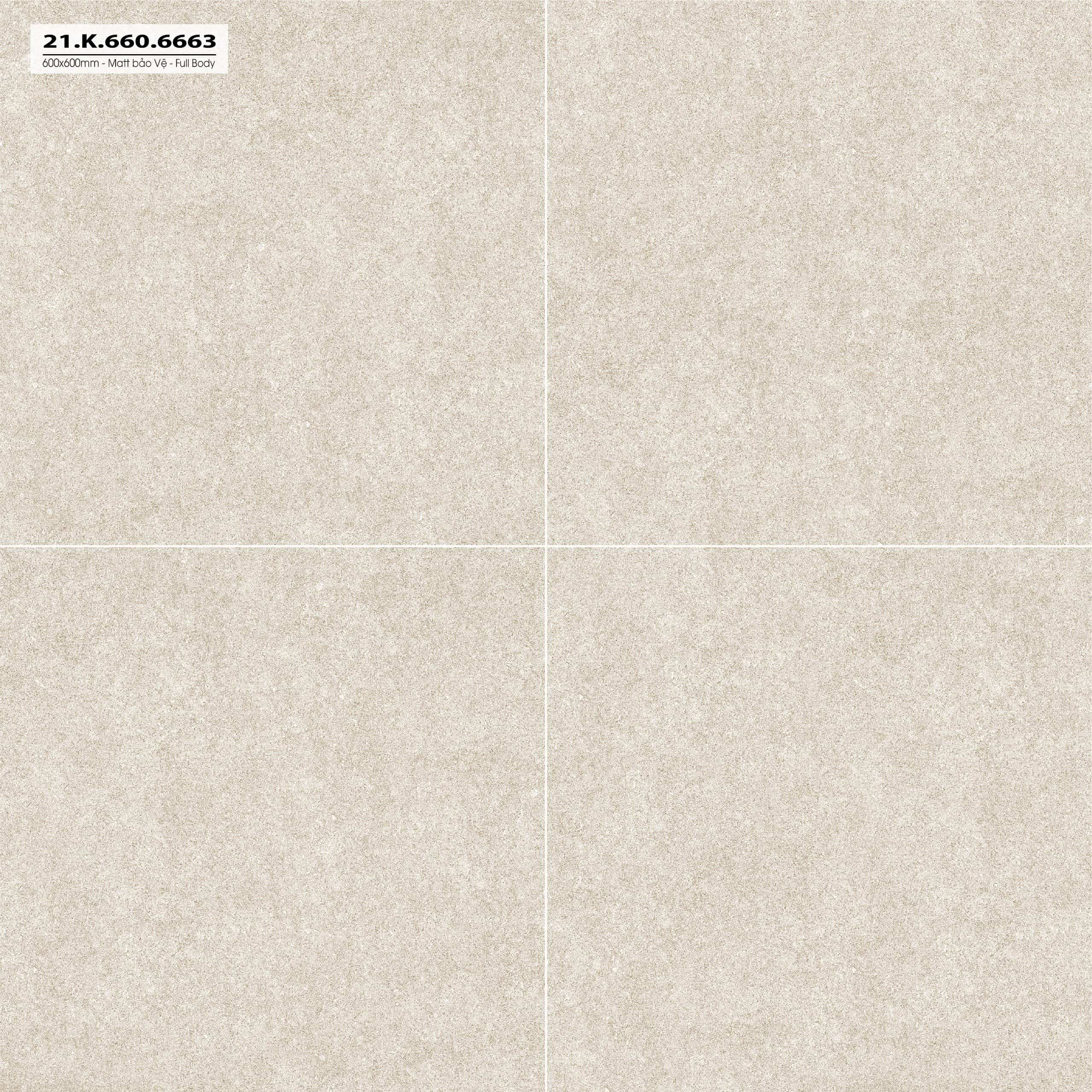 GẠCH CARINA CA5.MO6603