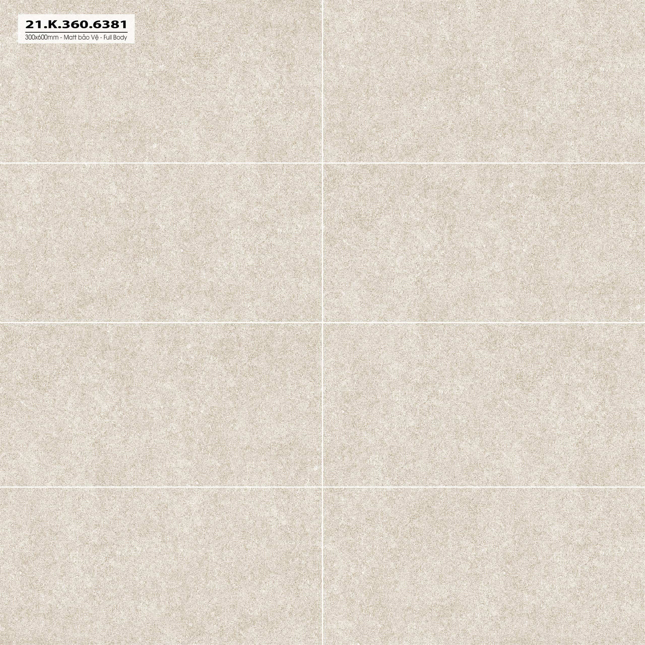 GẠCH CARINA CA5.MO3603