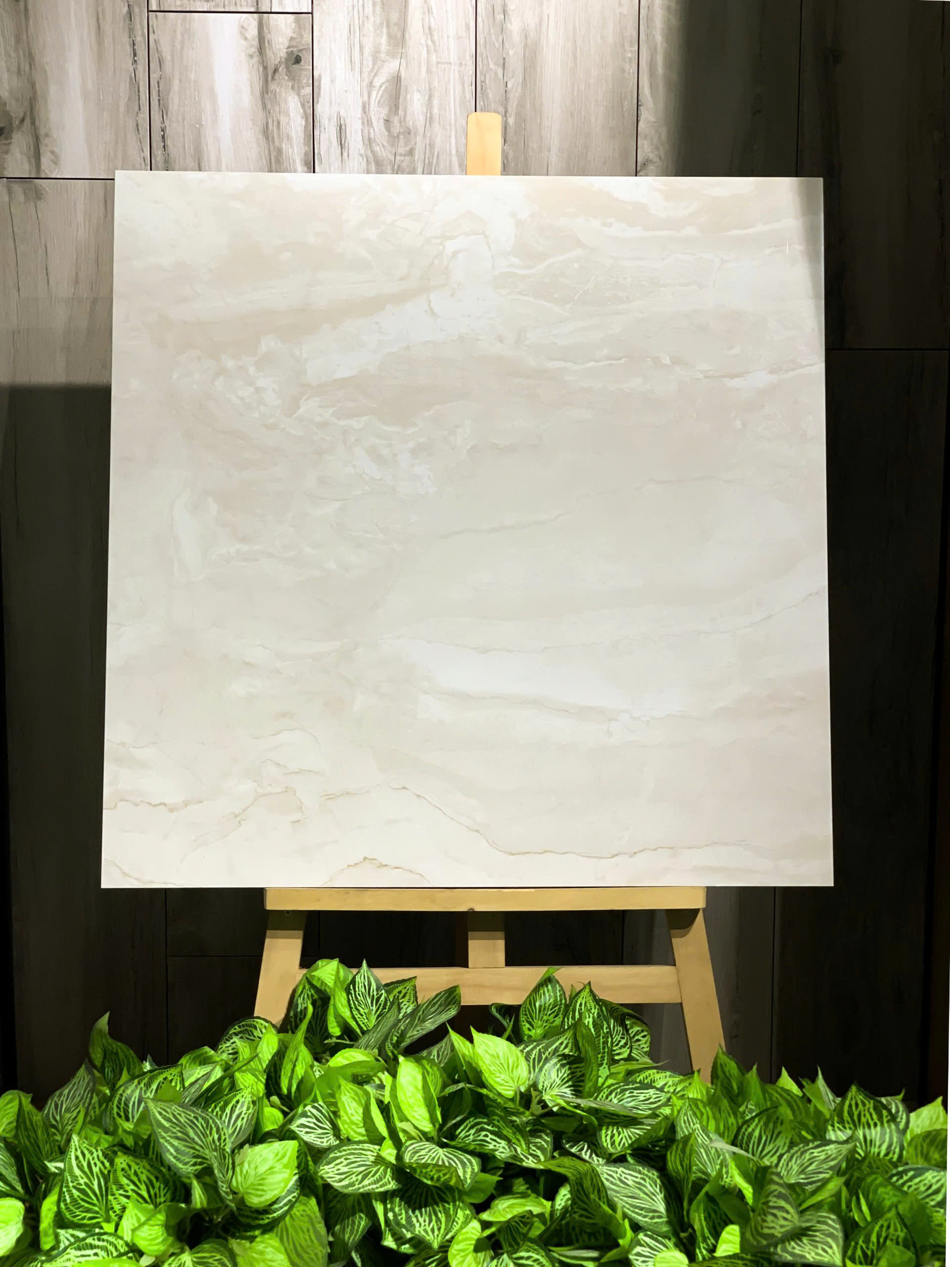 GẠCH CARINA CA2.PO8801