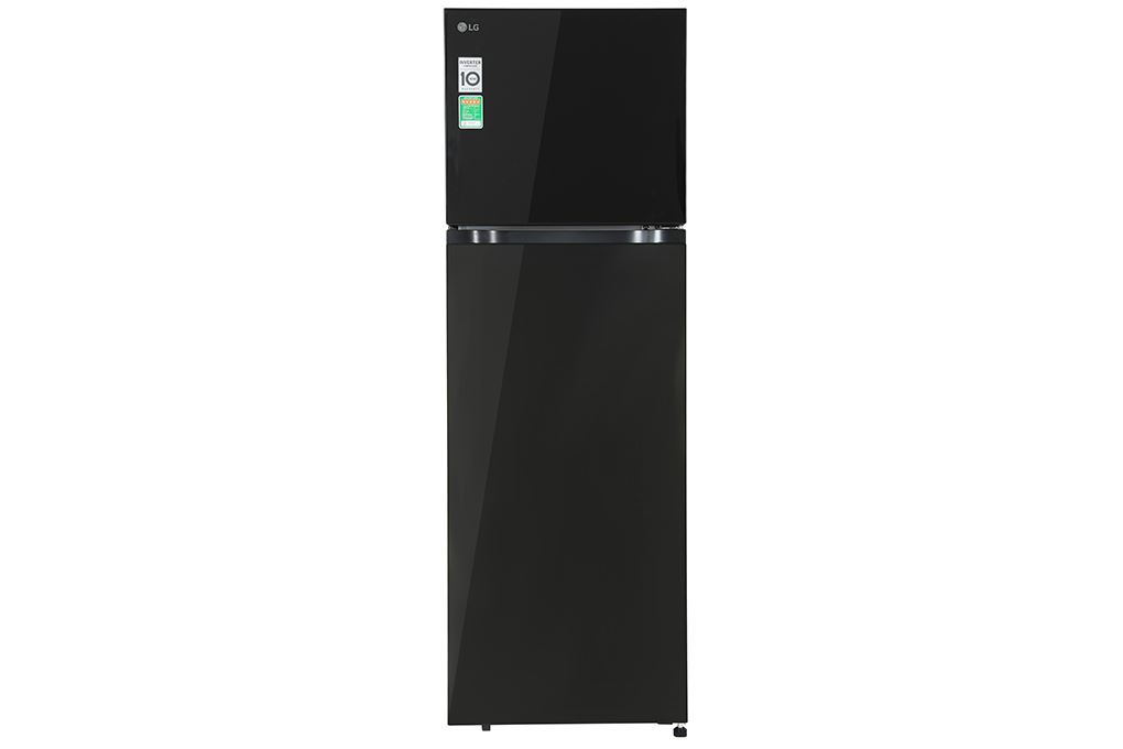 Tủ Lạnh LG Inverter 217 lít T21BG