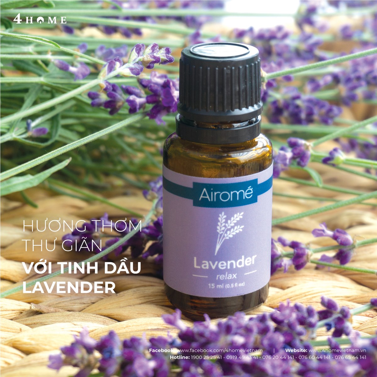 HƯƠNG THƠM THƯ GIÃN VỚI TINH DẦU LAVENDER