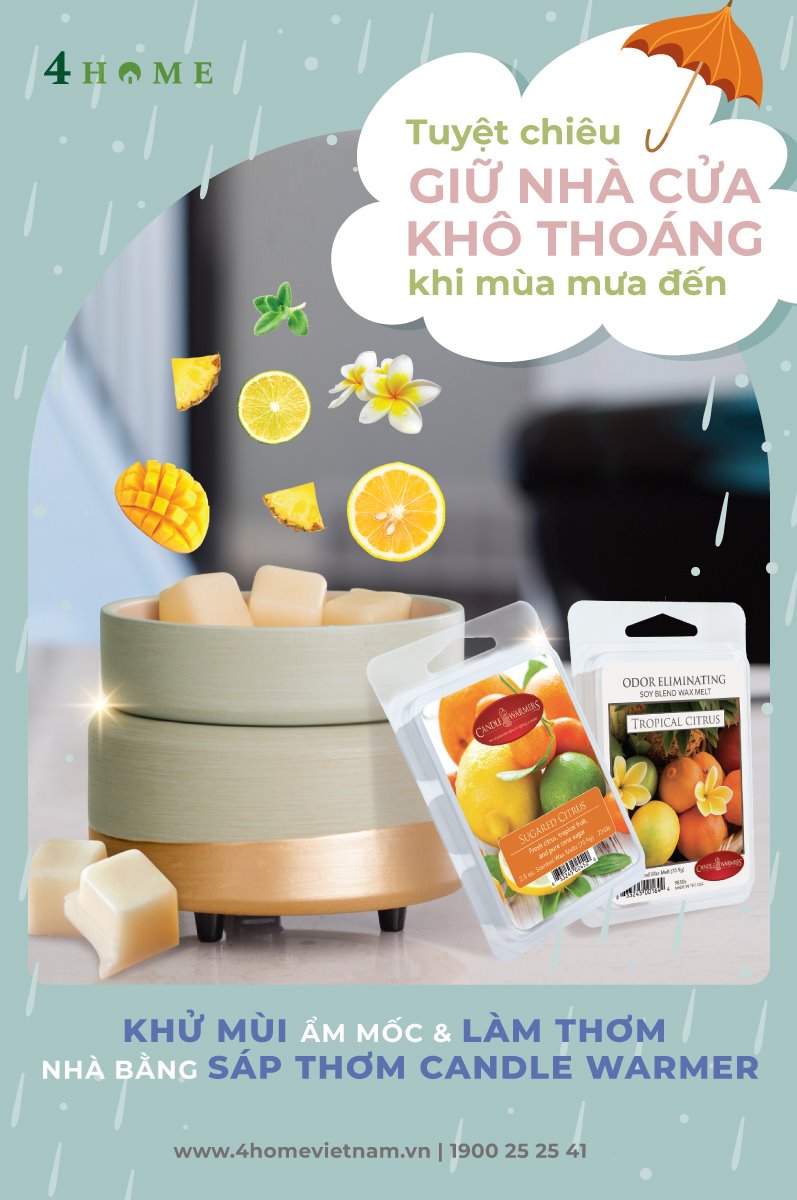 TUYỆT CHIÊU GIỮ NHÀ CỬA KHÔ THOÁNG KHI MÙA MƯA ĐẾN