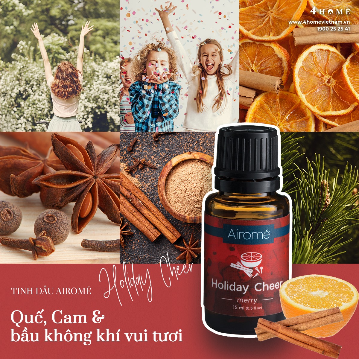 TINH DẦU HOLIDAY CHEER – BẦU KHÔNG KHÍ LỄ HỘI VUI TƯƠI TINH DẦU HOLIDAY CHEER – BẦU KHÔNG KHÍ LỄ HỘI VUI TƯƠI