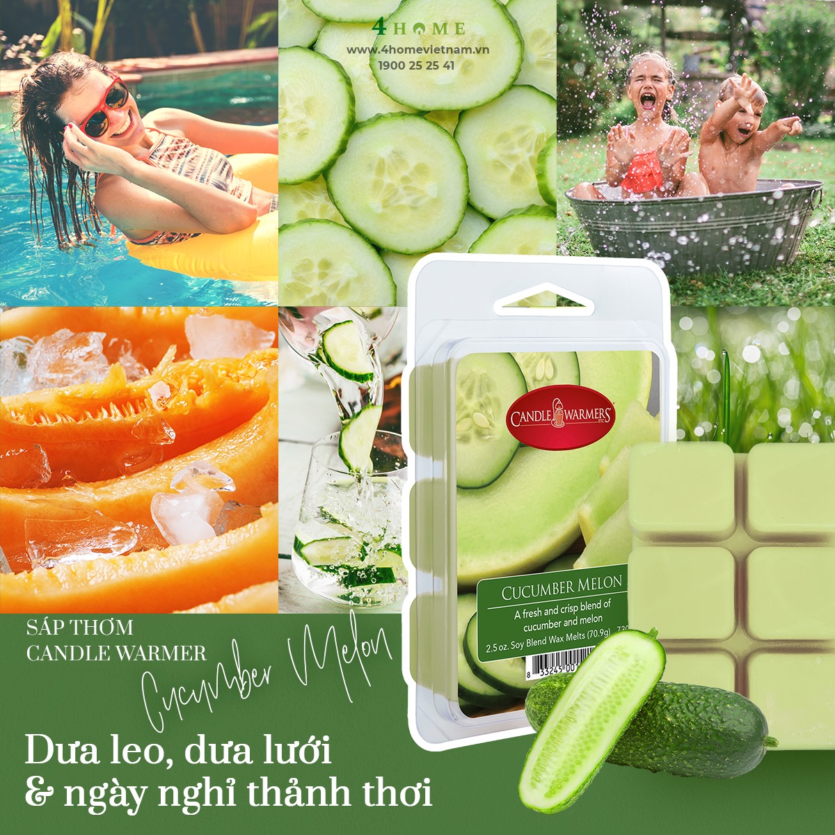 SÁP THƠM CUCUMBER MELON - ĐĨA DƯA LƯỚI GIÒN TAN & TƯƠI MÁT