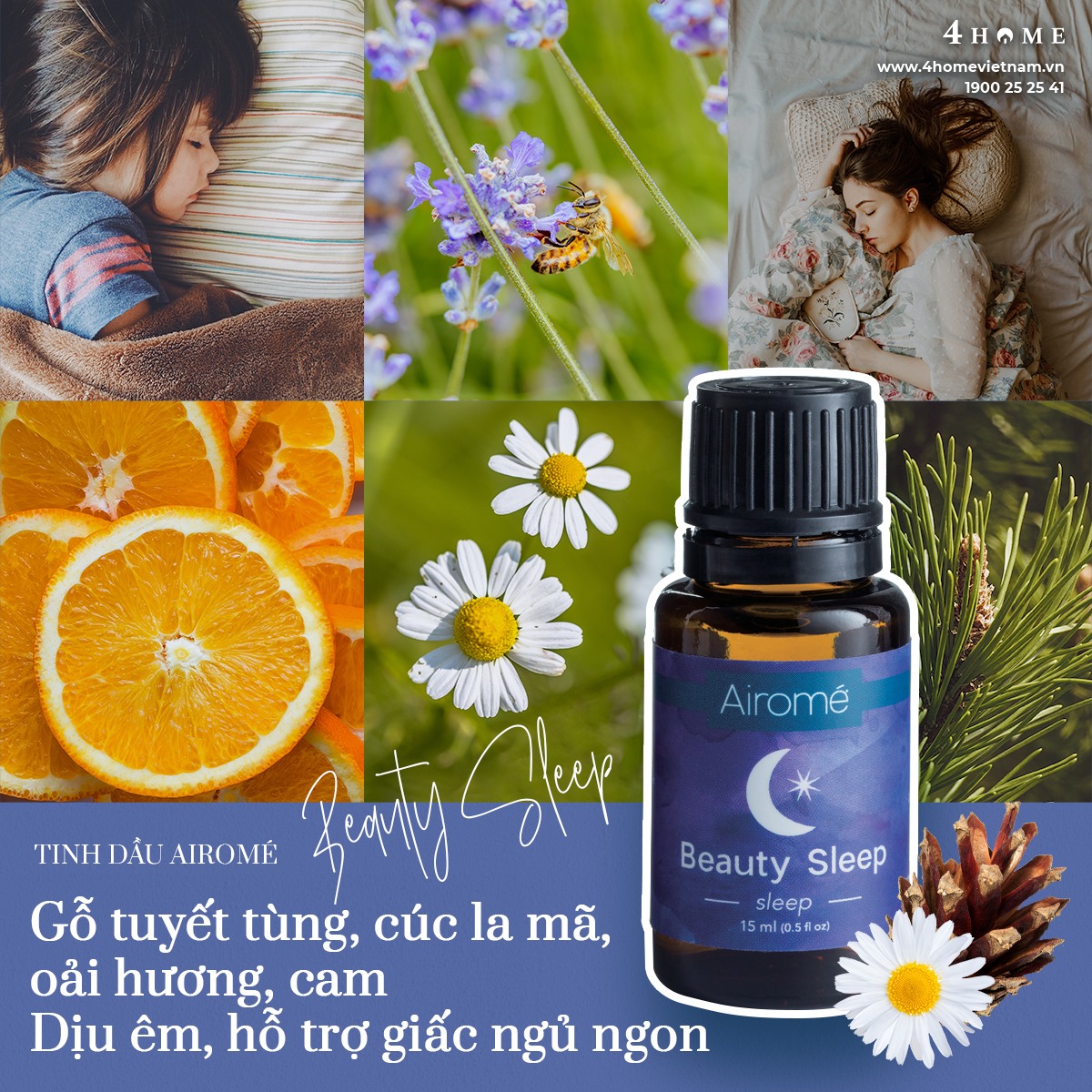 TINH DẦU BEAUTY SLEEP HƯƠNG THƠM HỖ TRỢ GIẤC NGỦ NGON