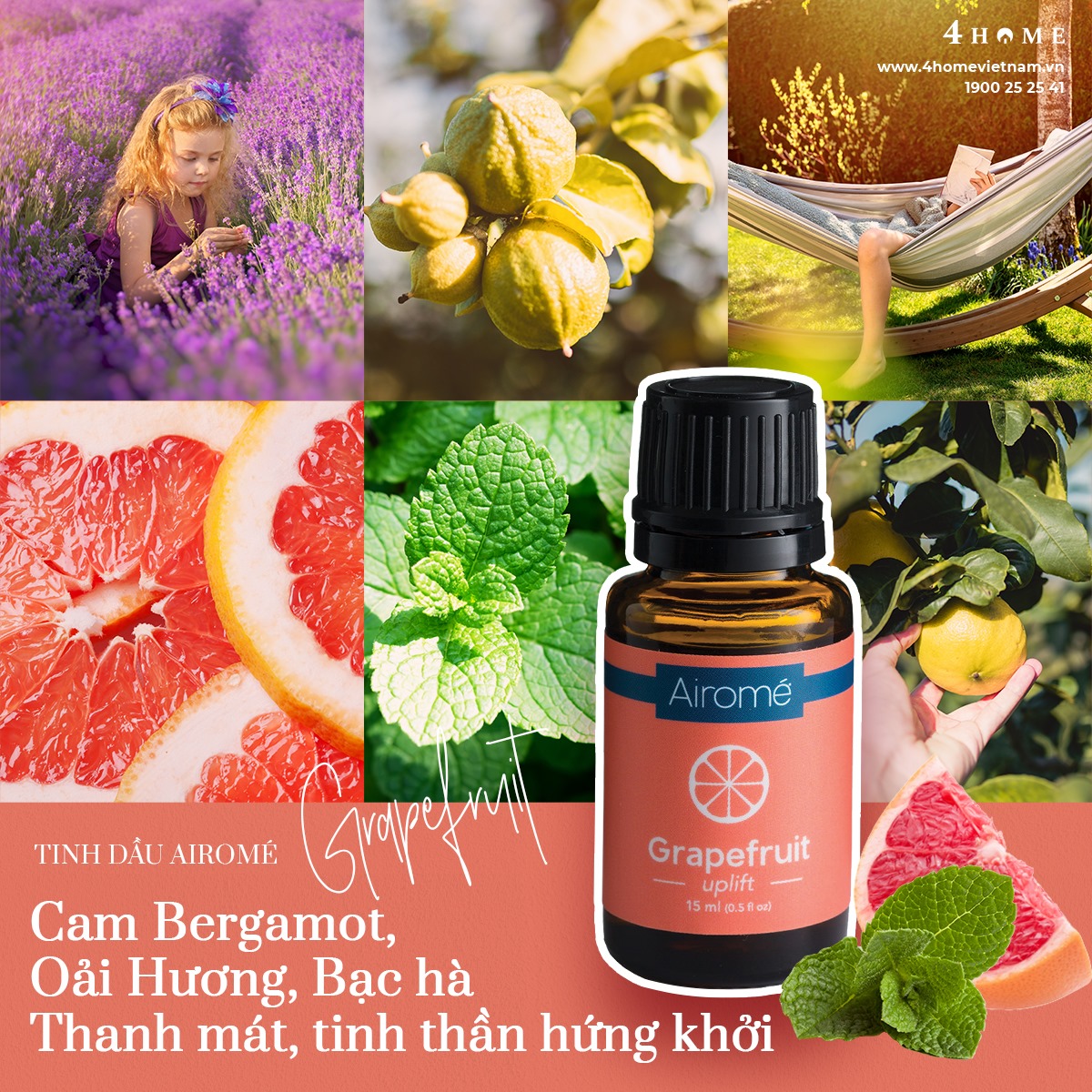 TINH DẦU GRAPEFRUIT – MANG HƯƠNG THƠM CHO KHÔNG GIAN THANH MÁT, NGỌT NGÀO TINH DẦU GRAPEFRUIT – MANG HƯƠNG THƠM CHO KHÔNG GIAN THANH MÁT, NGỌT NGÀO