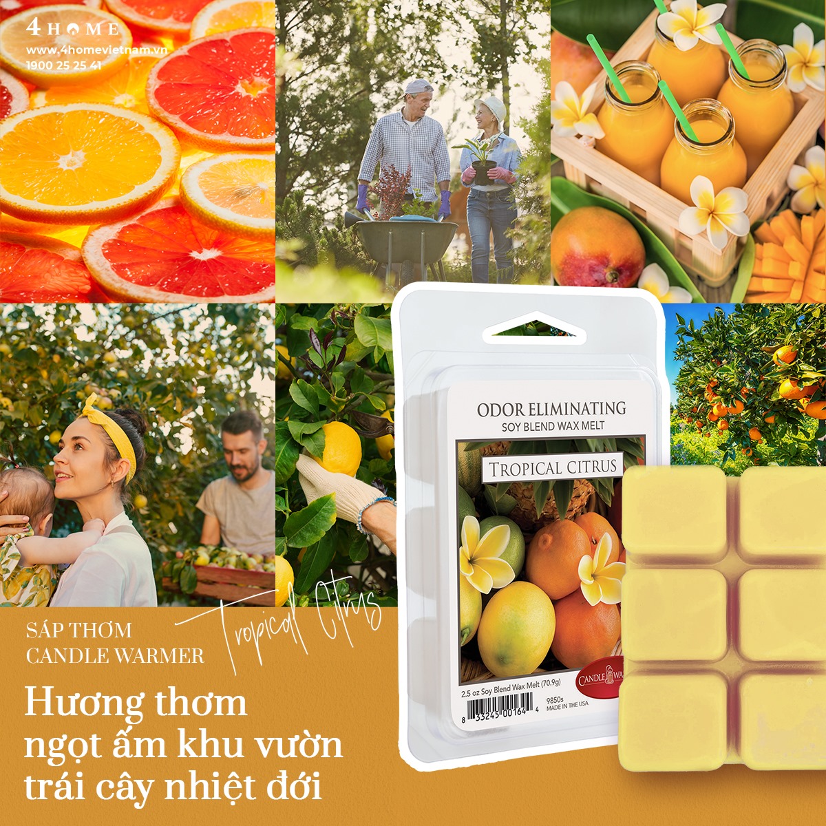 SÁP THƠM TROPICAL CITRUS - ĐĨA TRÁI CÂY CHÍN MỌNG, TƯƠI MÁT