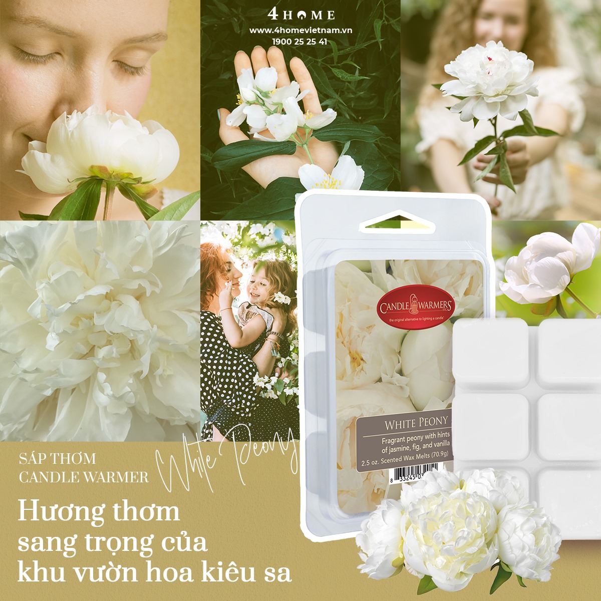 SÁP THƠM WHITE PEONY - ĐÓA MẪU ĐƠN KIÊU SA SÁP THƠM WHITE PEONY - ĐÓA MẪU ĐƠN KIÊU SA