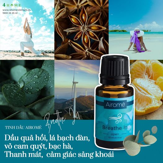 THƯ GIÃN, GIẢM MỆT MỎI BẰNG HƯƠNG THƠM TINH DẦU BREATHE IN THƯ GIÃN, GIẢM MỆT MỎI BẰNG HƯƠNG THƠM TINH DẦU BREATHE IN