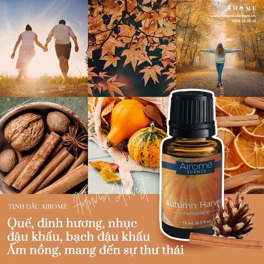 TINH DẦU AUTUMN HARVEST SCENTS - VỊ ẤM NỒNG CỦA BUỔI CHIỀU THU