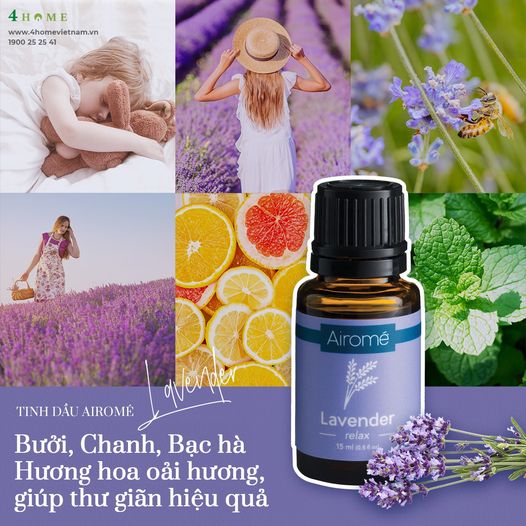 TINH DẦU LAVENDER - HƯƠNG THƠM CHO TINH THẦN & SỨC KHỎE TINH DẦU LAVENDER - HƯƠNG THƠM CHO TINH THẦN & SỨC KHỎE
