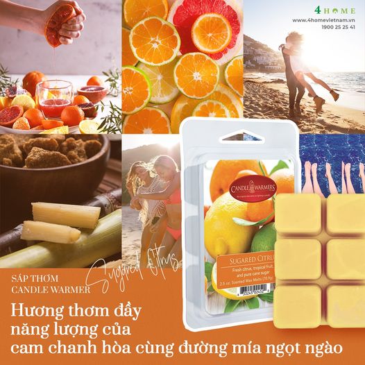 SÁP THƠM SUGARED CITRUS - HƯƠNG THƠM THANH MÁT & NGỌT NGÀO SÁP THƠM SUGARED CITRUS - HƯƠNG THƠM THANH MÁT & NGỌT NGÀO