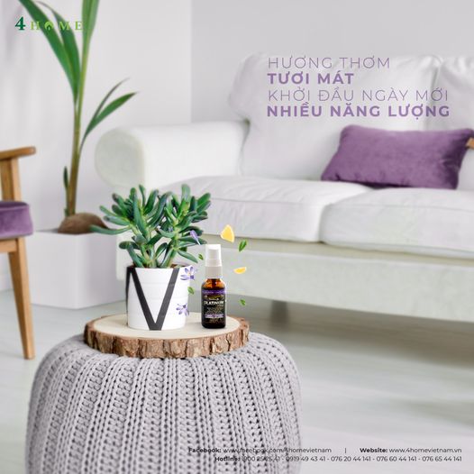 LEMON LAVENDER - HƯƠNG THƠM TƯƠI MÁT KHỞI ĐẦU NGÀY MỚI NHIỀU NĂNG LƯỢNG