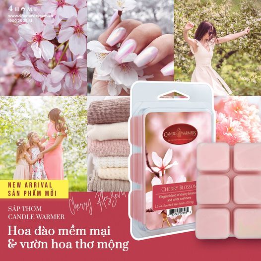 [NEW ARRIVAL] - SÁP THƠM CHERRY BLOSSOM